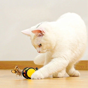 Unleash the Fun: Discover the Electric Cat Car Toy!