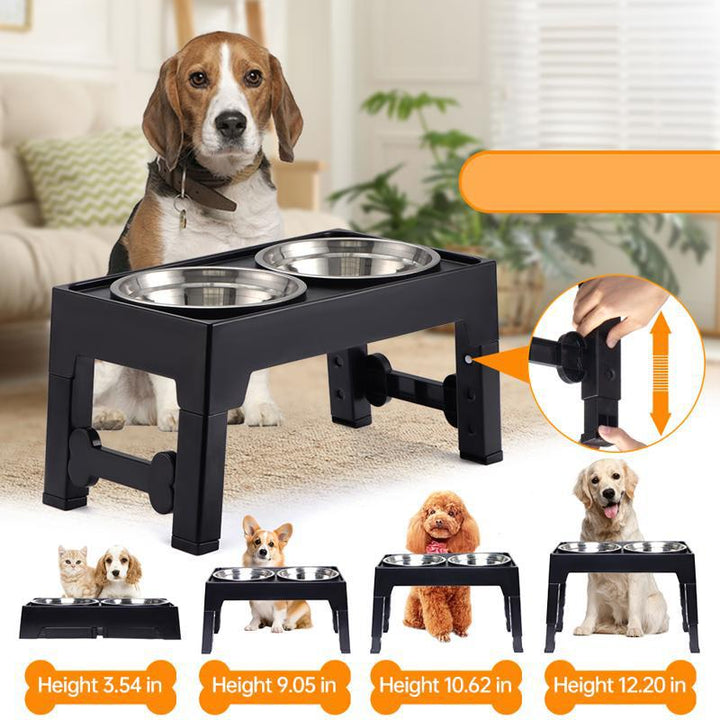 Transform Mealtime with the Pet Lifting Feeding Bowl