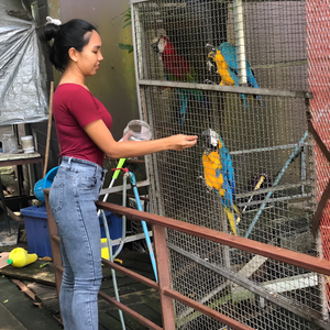 Must-Have Bird Supplies and Fun Accessories