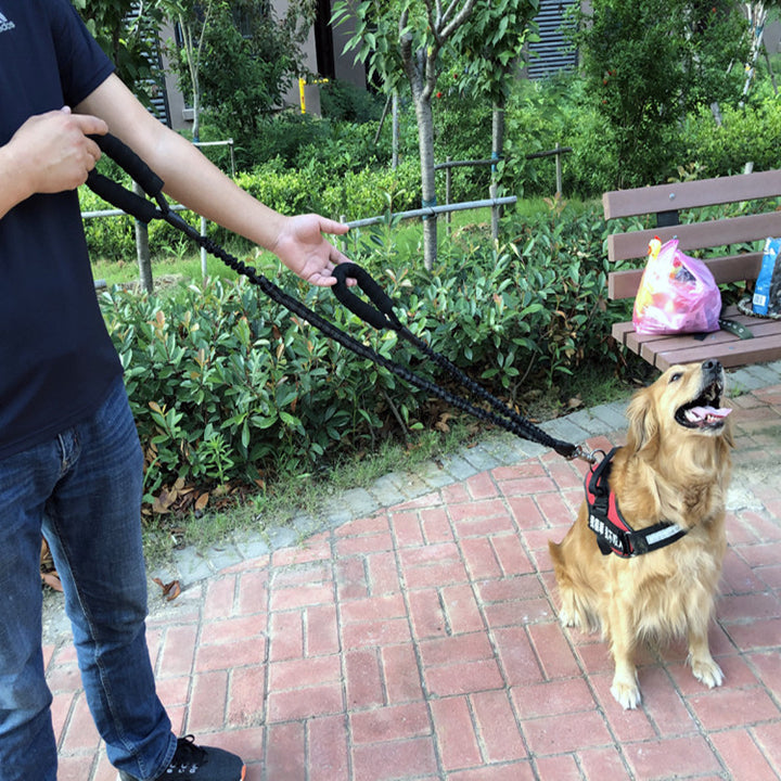 Dog Explosion-proof Leash Elastic Retractable
