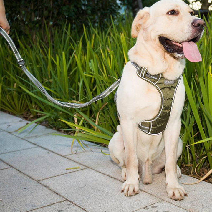 Fluorescent Pet Explosion-proof Retractable Dog Leash