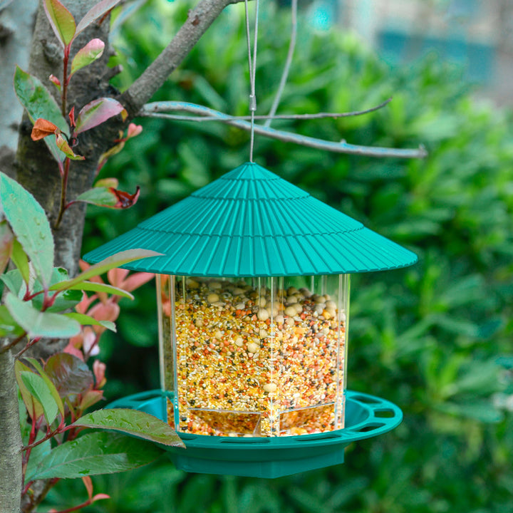 Outdoor Hanging Transparent Bird Feeder