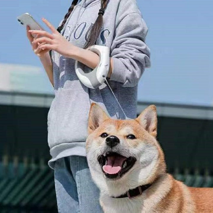 Dog Traction Rope LED Night Leash