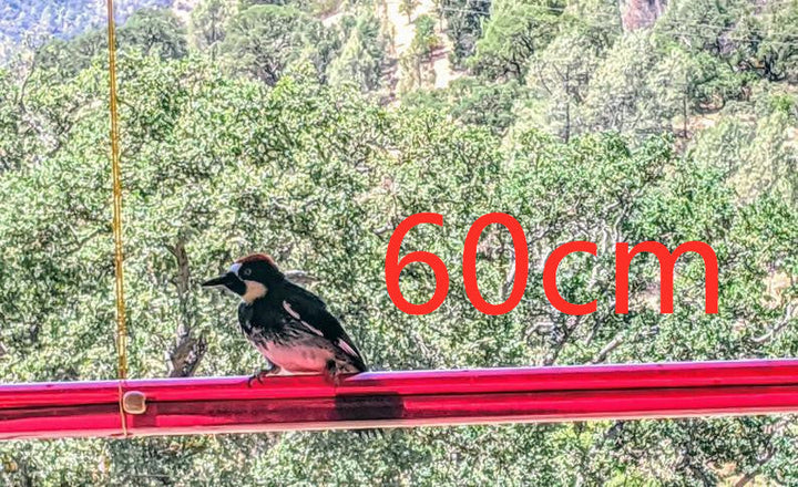 The Ultimate Hanging Long Tube Red Bird Feeder