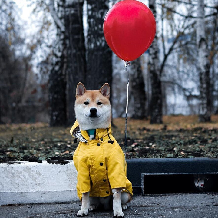 The Ultimate Protection: Dog Raincoat Pet Clothes