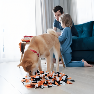 Why Pet Toys Are More Than Just Fun