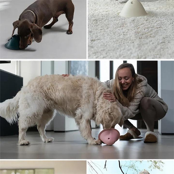 Why Your Dog Deserves the Best: Introducing Our New Dog Chew Toys