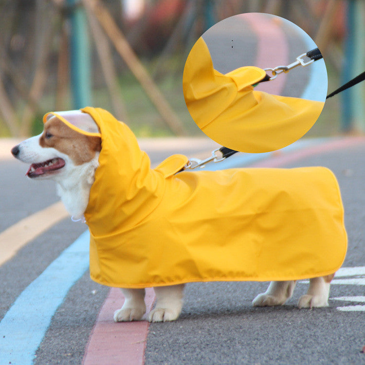 Dog Raincoat Transparent With Bellyband