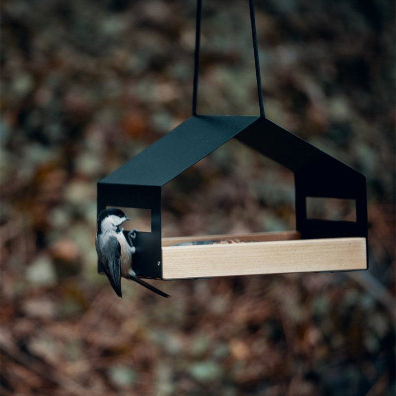 Outdoor Hanging Bird Feeder