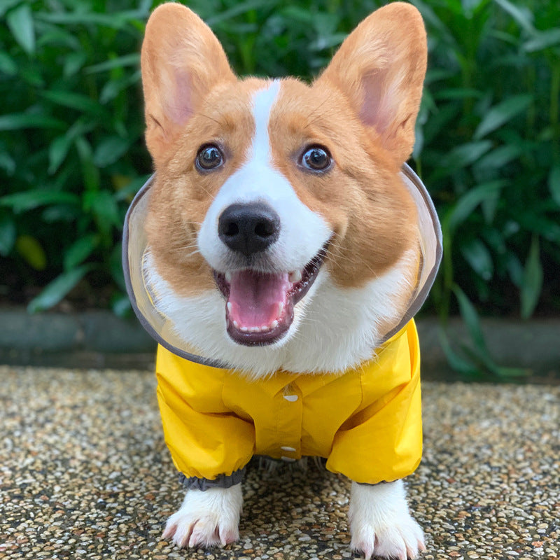 Four Legged Waterproof Pet Clothing
