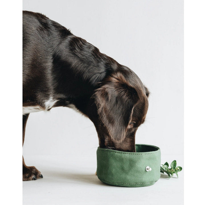 Folding Dog Bowl