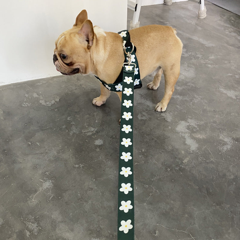 Golden Retriever Dog Leash