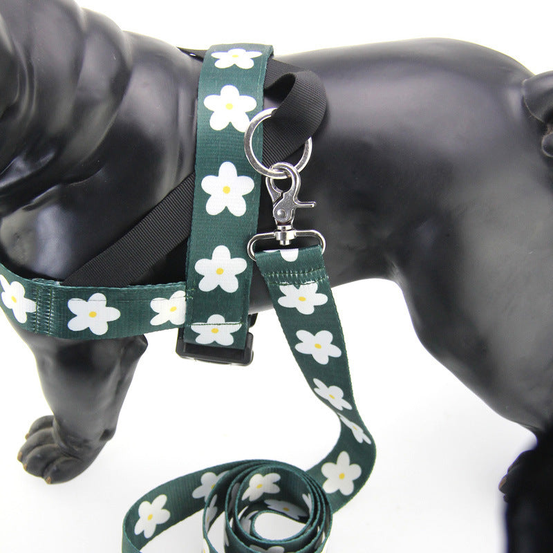 Golden Retriever Dog Leash