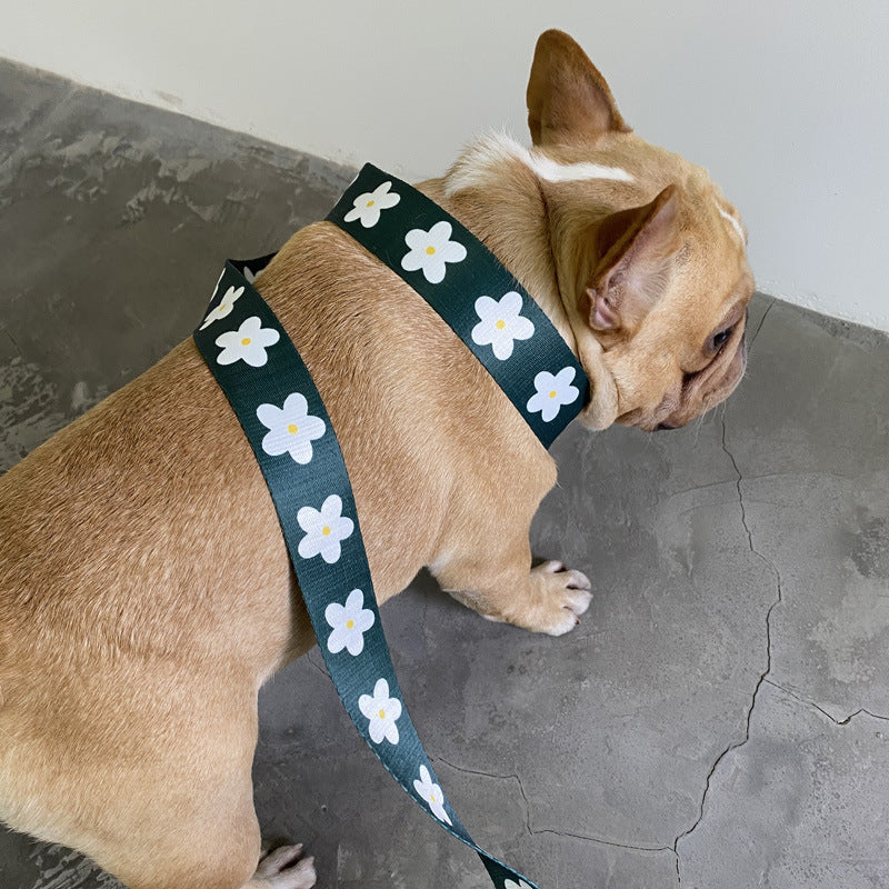 Golden Retriever Dog Leash