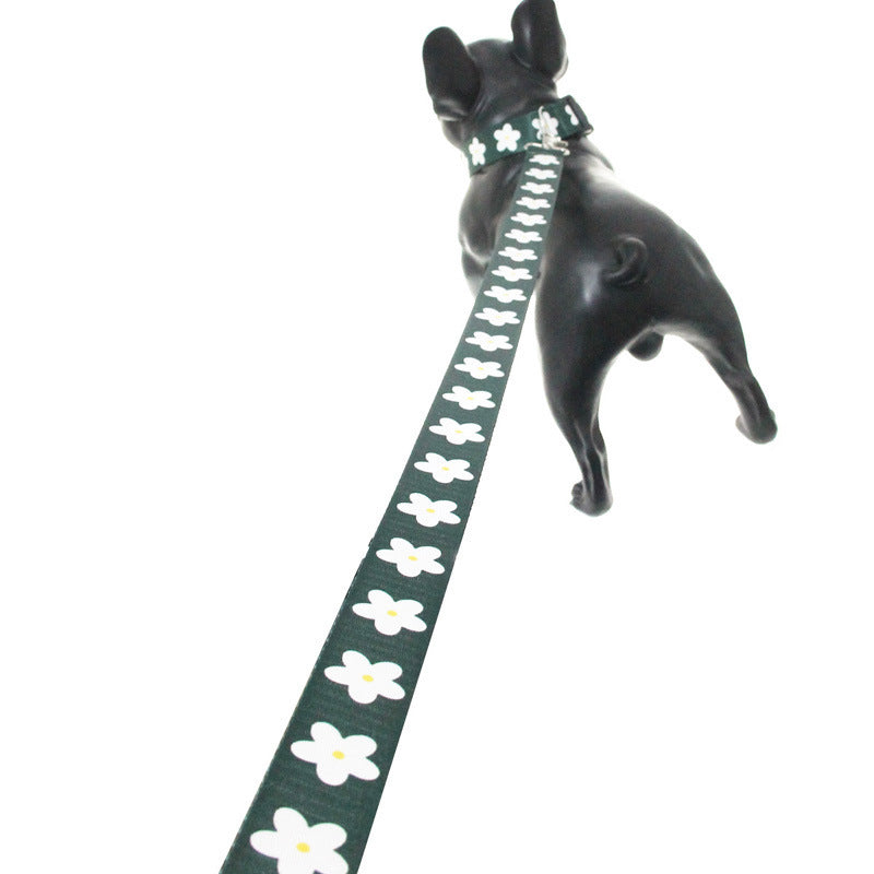 Golden Retriever Dog Leash