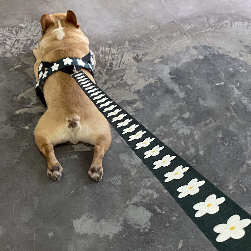 Golden Retriever Dog Leash