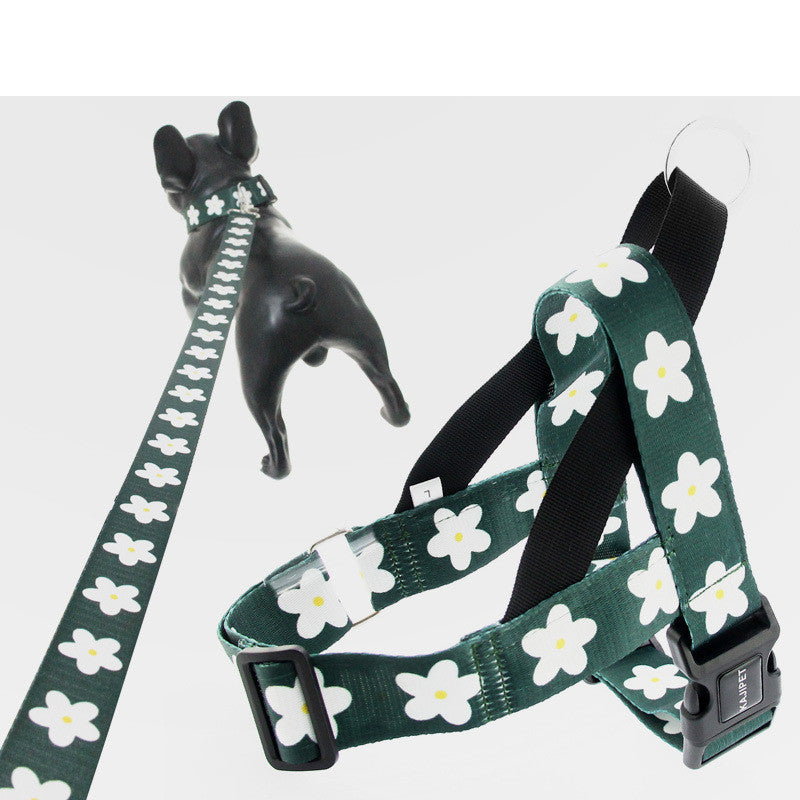 Golden Retriever Dog Leash