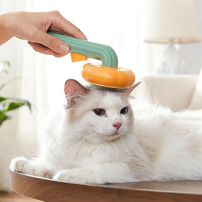 Pet Pumpkin Brush Pet Grooming