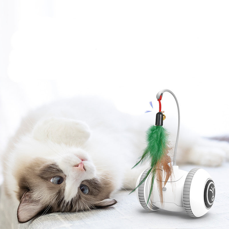 Interactive Pet Feather Toys