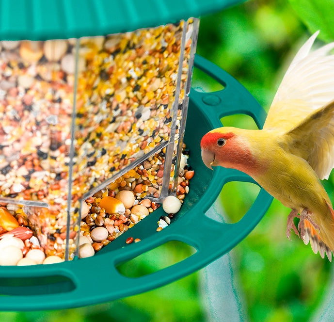 Outdoor Hanging Transparent Bird Feeder