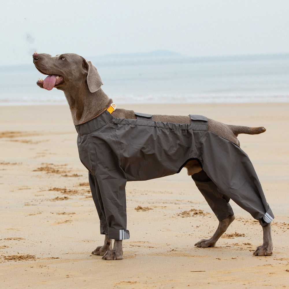 Pet Four-legged Raincoat