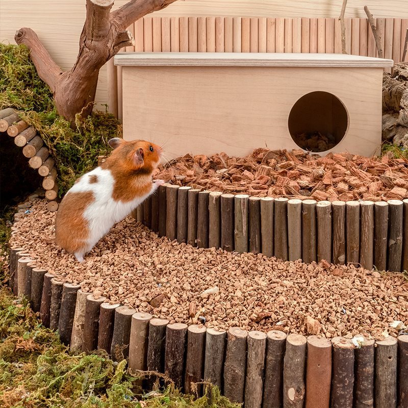 Oak Cork Hamster Cage Landscaping Supplies