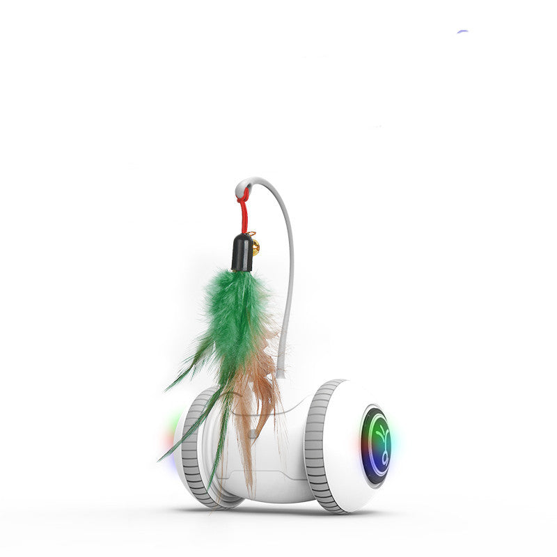 Interactive Pet Feather Toys