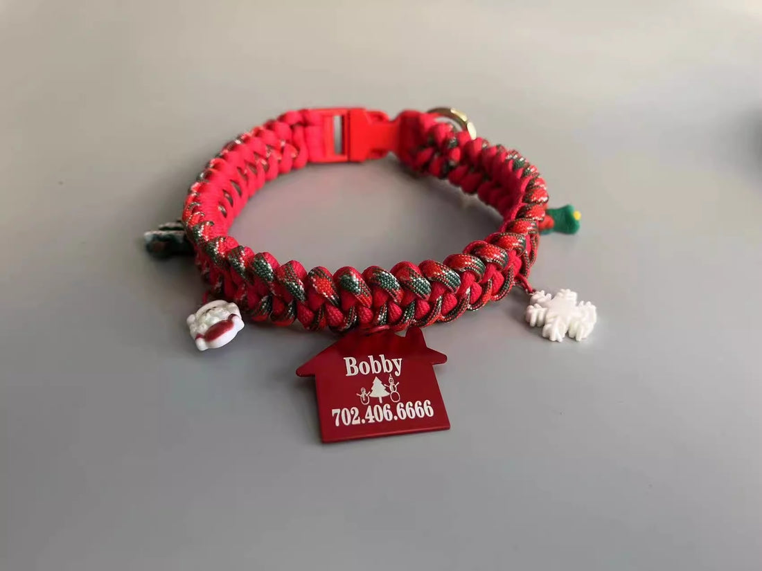 Hand Holding Rope Dog Leash