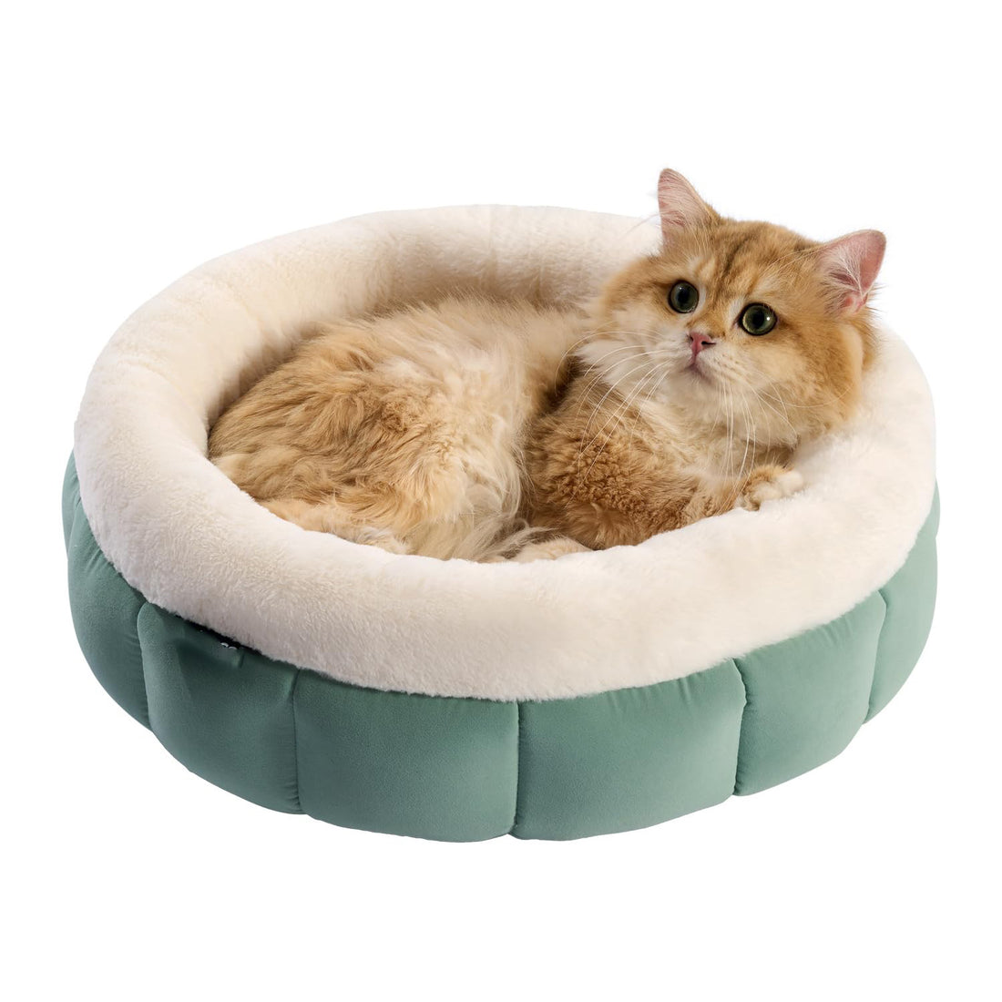 Donut Dog Beds For Small Dogs