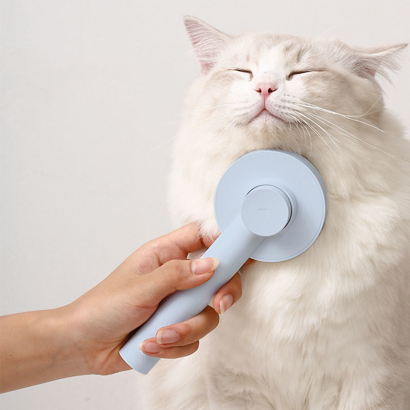 Pet Comb Hair Brush