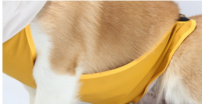 Dog Raincoat Transparent With Bellyband