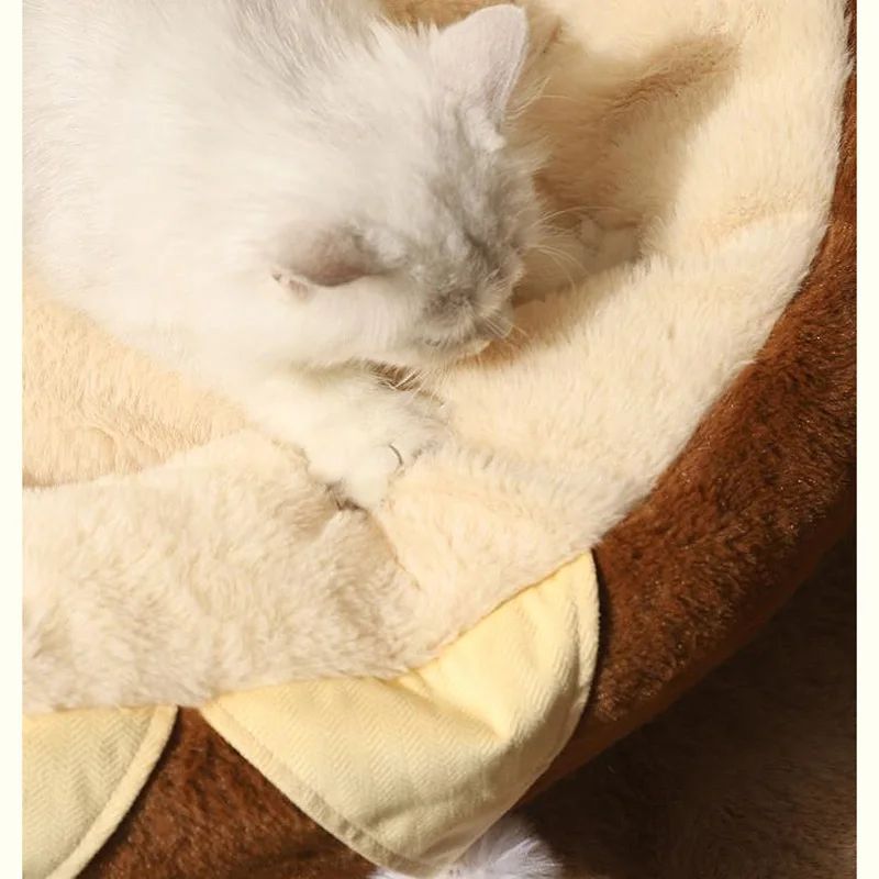 Cats Sofa Round Mattress Bed