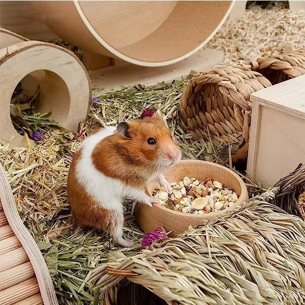 Beech Hamster Food Basin Feeding Bowl