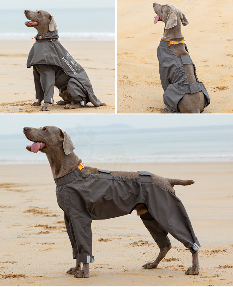 Pet Four-legged Raincoat