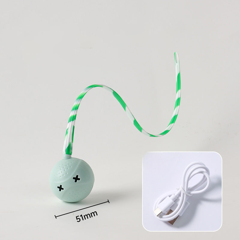 Interactive Electric Balls Pet Toy