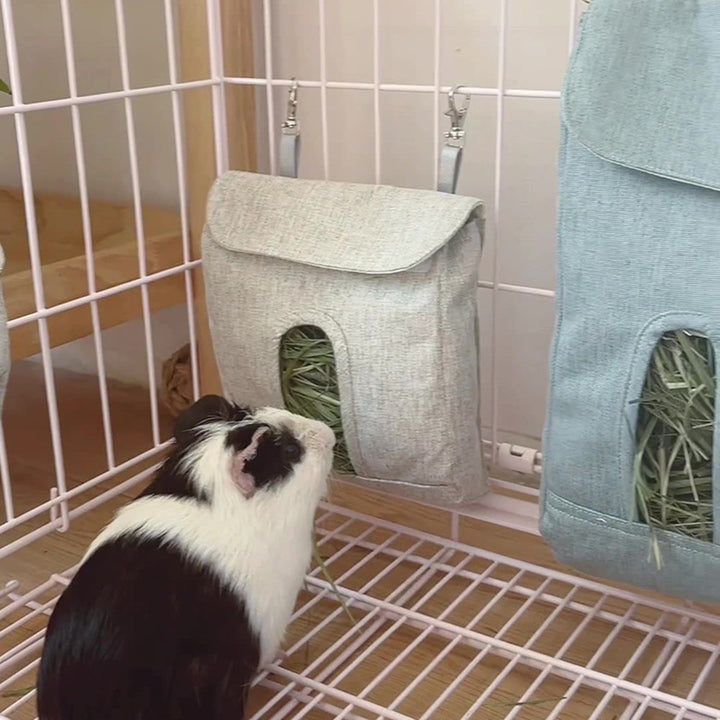 Rabbit Feeding Guinea Pig Hamster