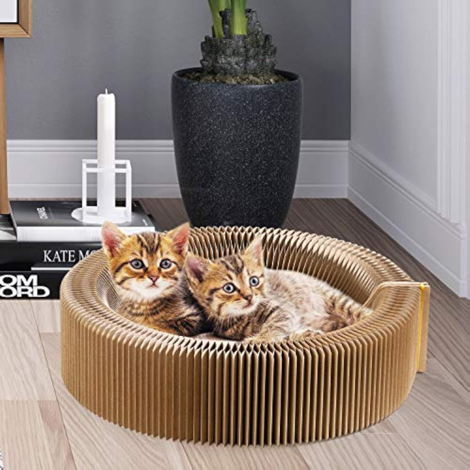 Collapsible Cat Scratcher Lounge Bed