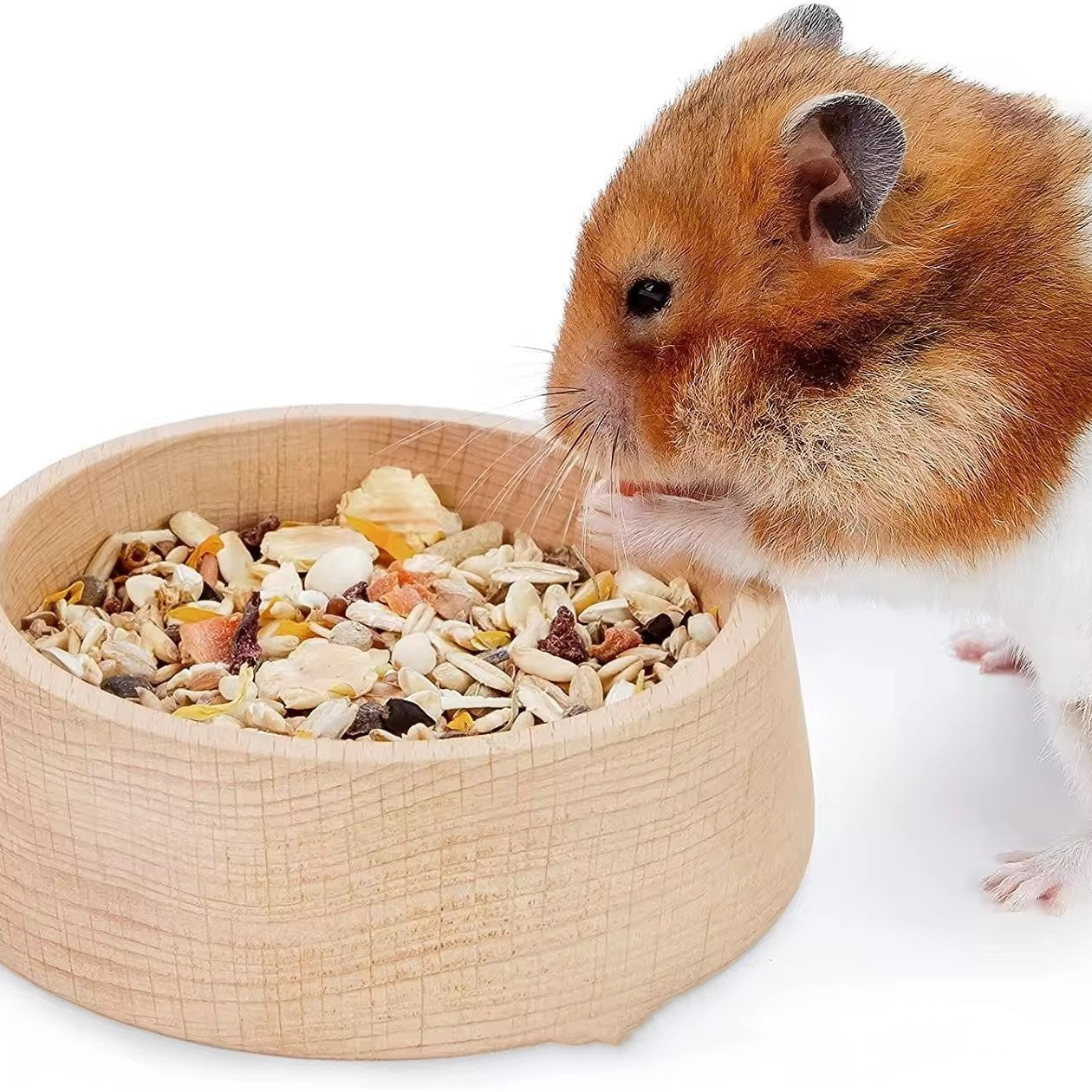 Beech Hamster Food Basin Feeding Bowl