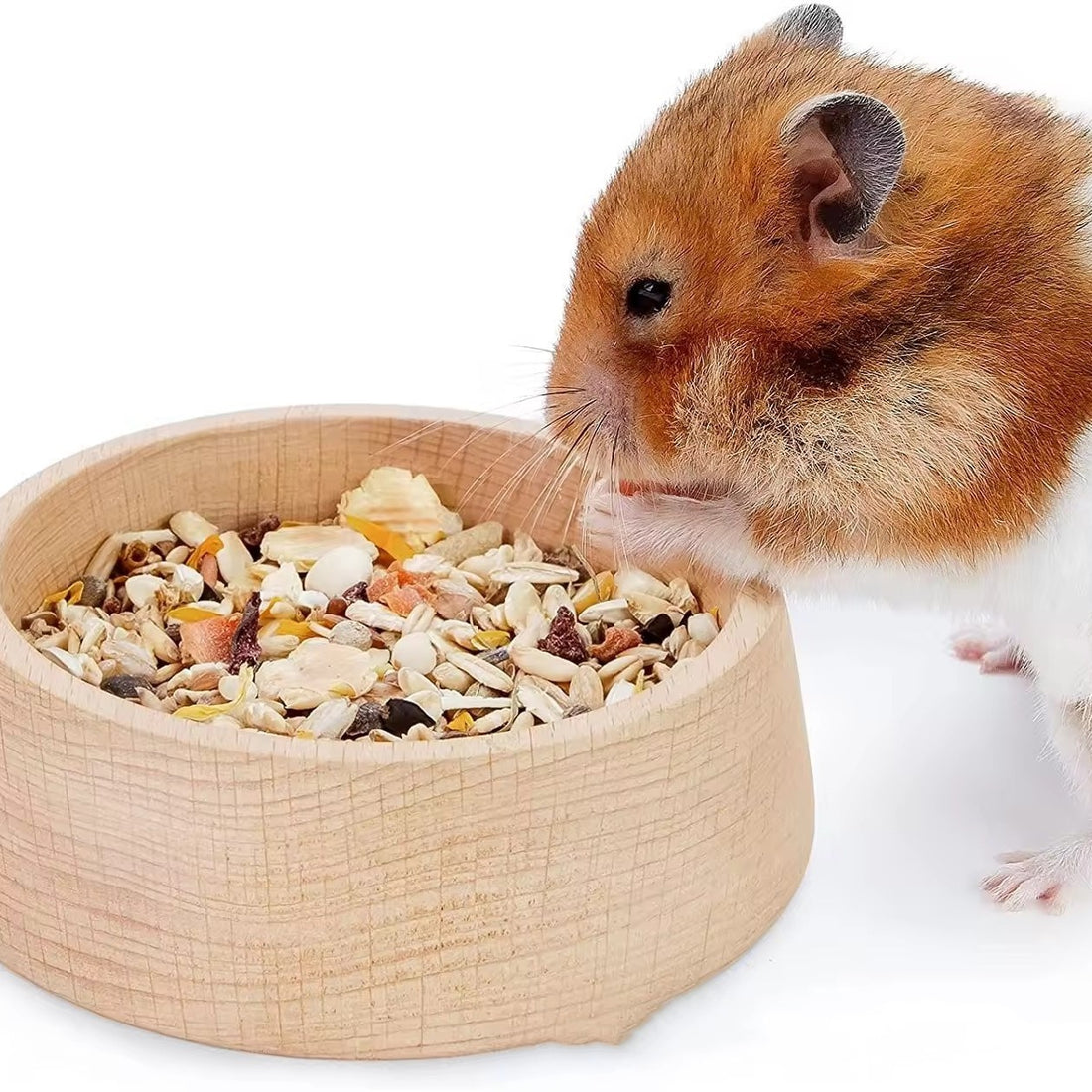 Beech Hamster Food Basin Feeding Bowl