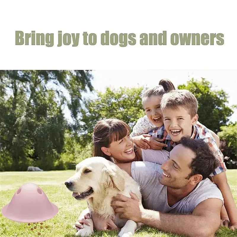 New Dog Chew Toys Dog Interactive Toys Chew