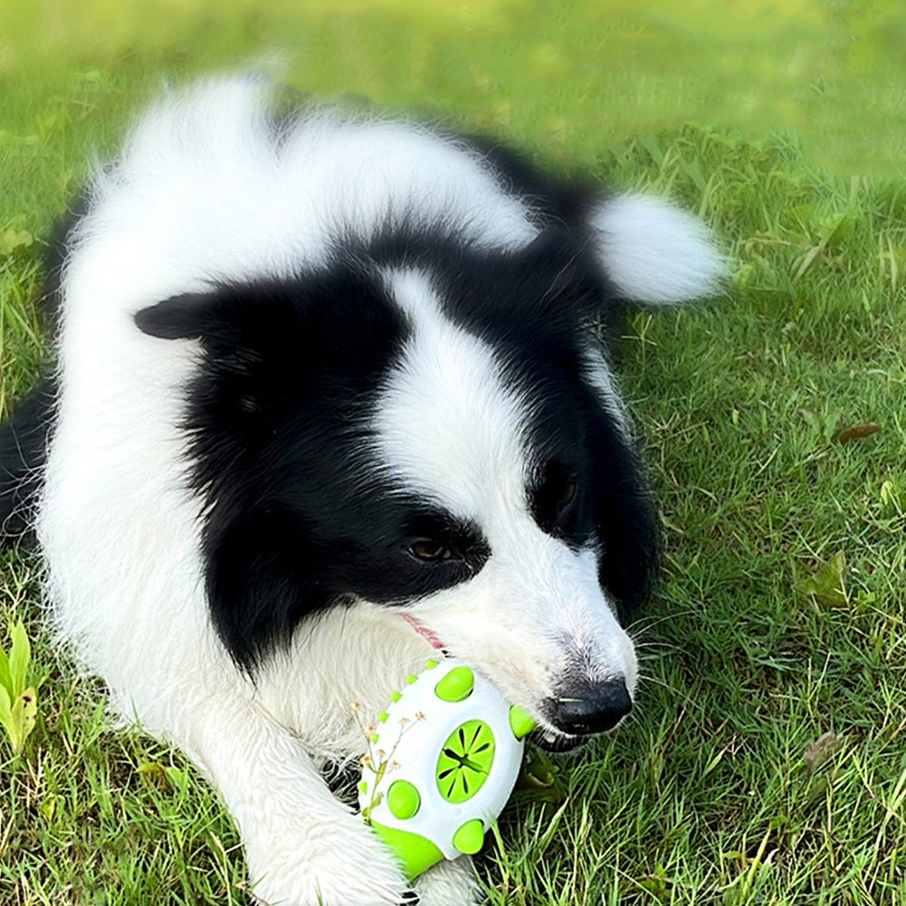 Pet Dog Toy Interactive Toy