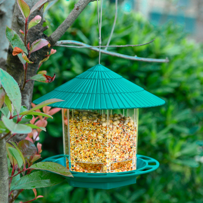 Outdoor Hanging Transparent Bird Feeder