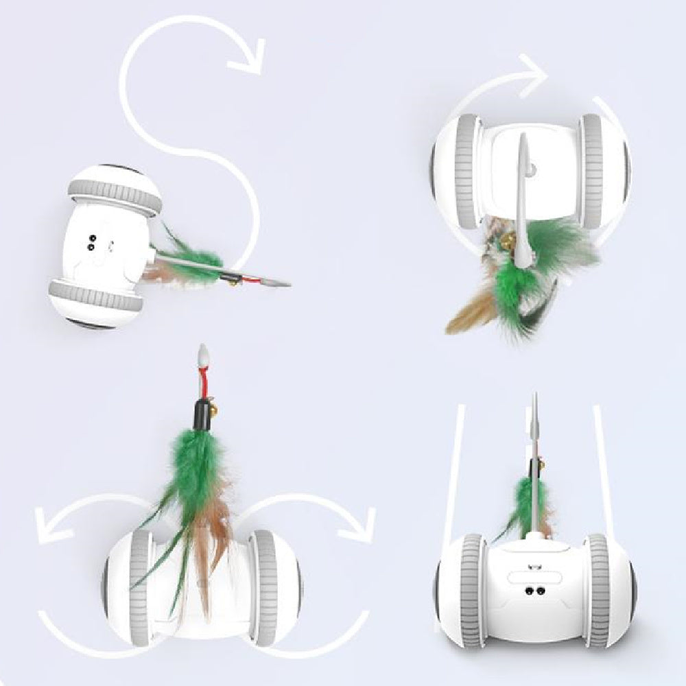 Interactive Pet Feather Toys