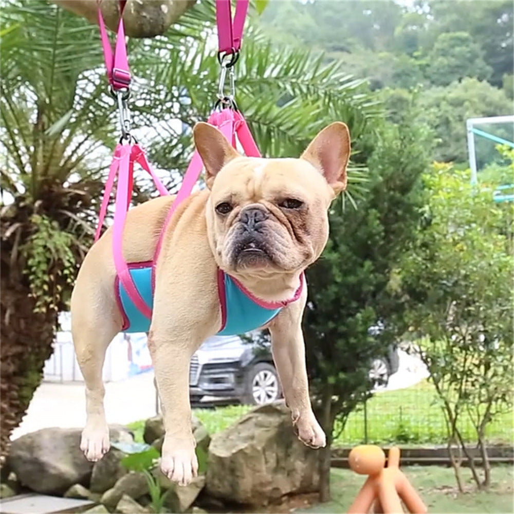 Hanging Harness Pet Supplies Kit