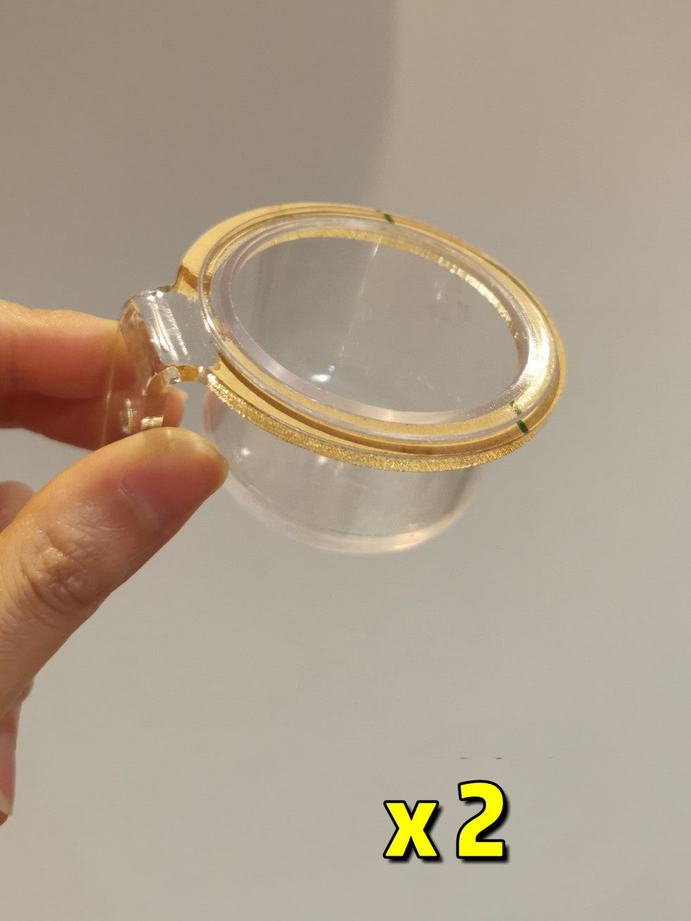 Full Transparent Bird Cage