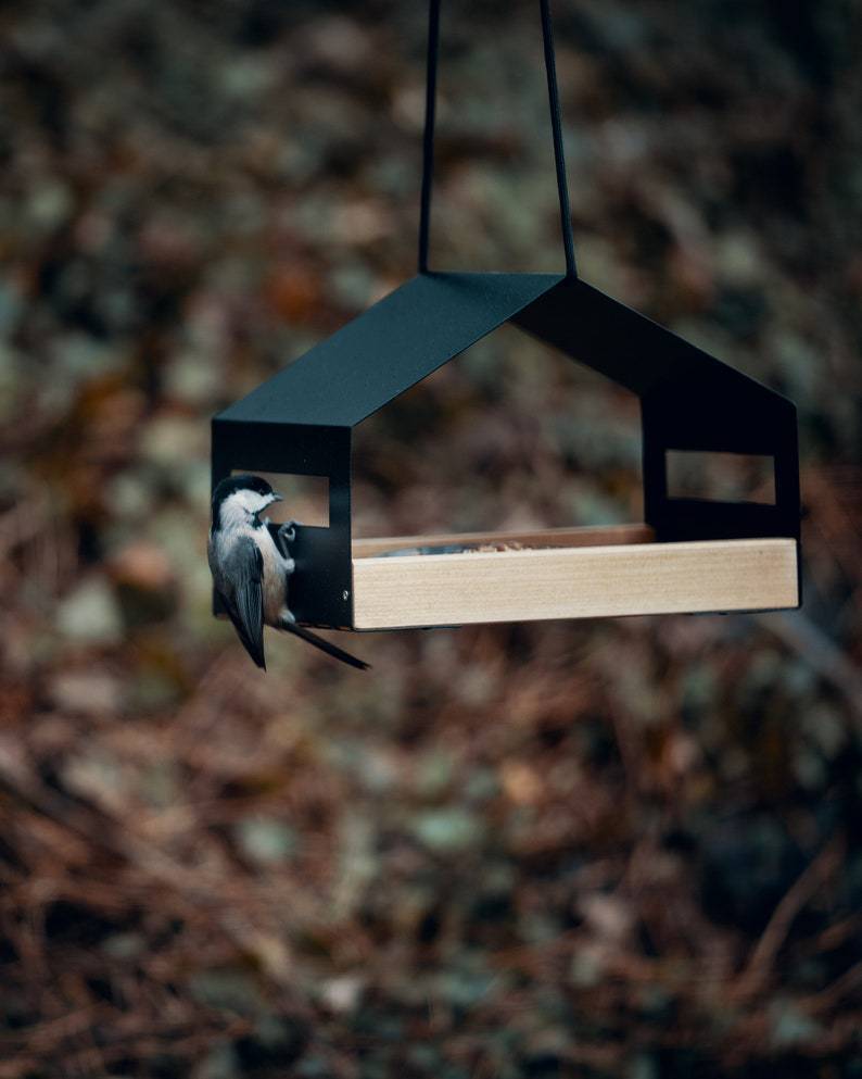 Outdoor Hanging Bird Feeder