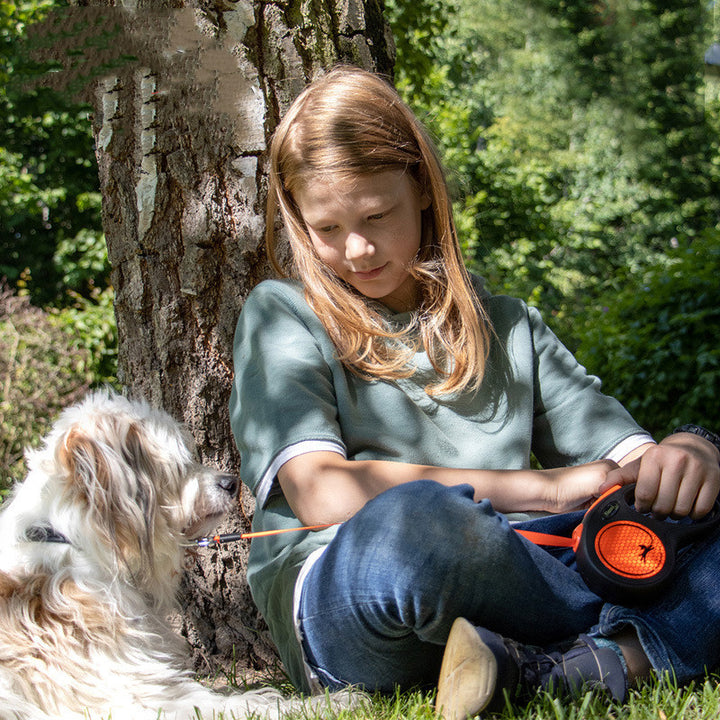 Orange Automatic Retractable Walking Pet Leash