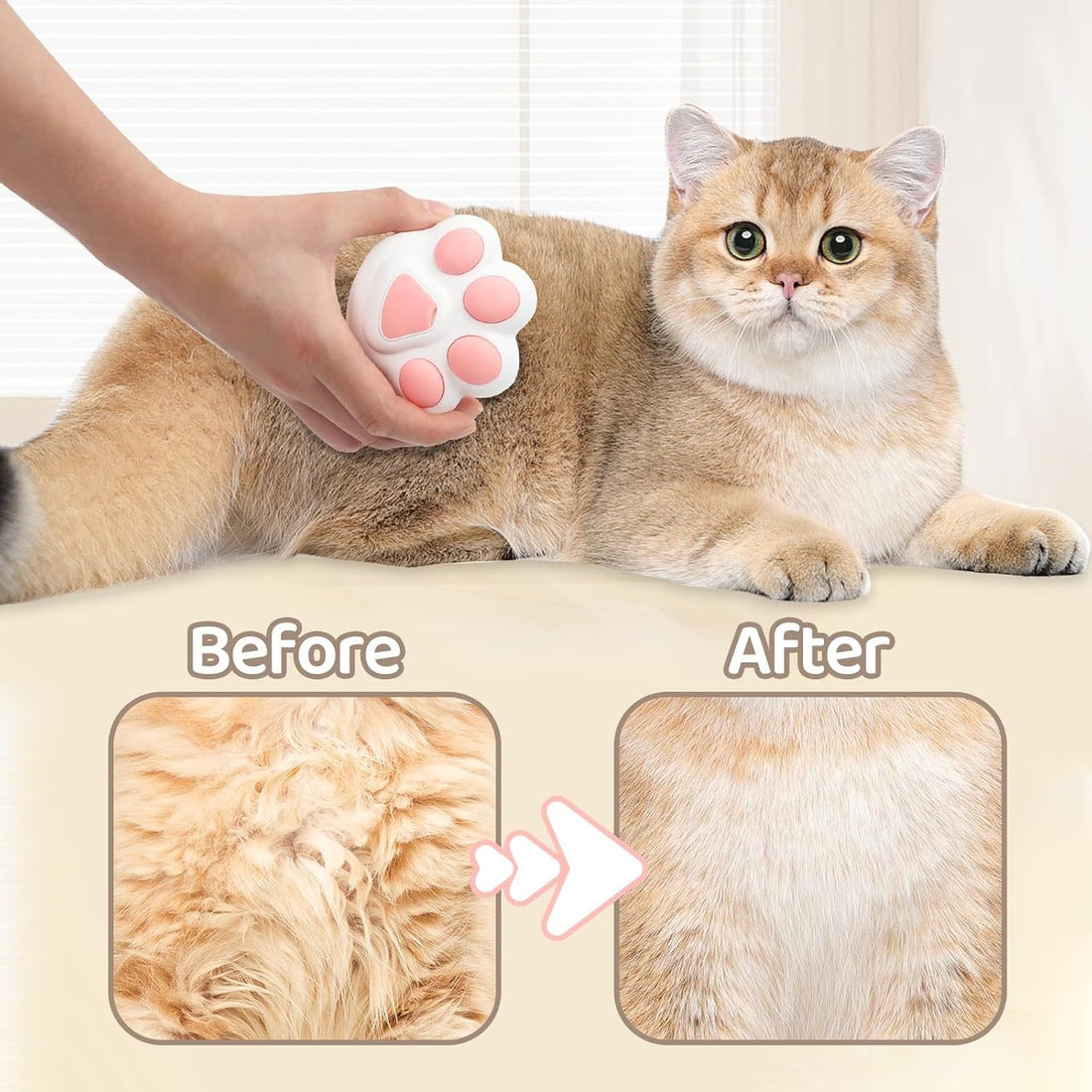 4 In 1 Cat Brush For Removing Hair