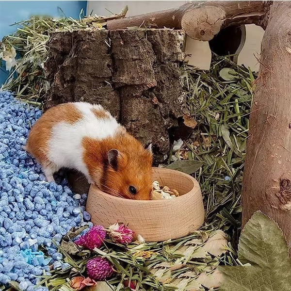 Beech Hamster Food Basin Feeding Bowl