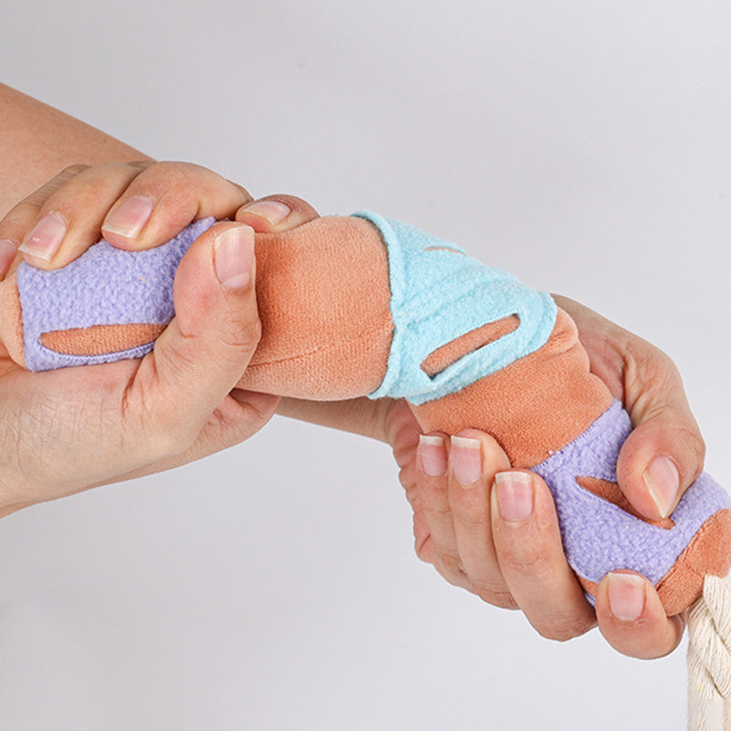 Pet Dog Sniffing Toy